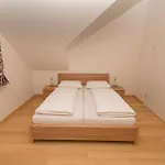 Angerer Apartment Bad Aussee