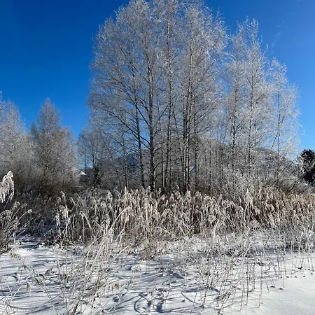 Angerer דירה באד אאוסי