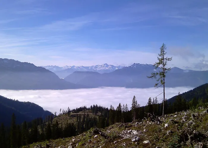 Angerer * Bad Aussee