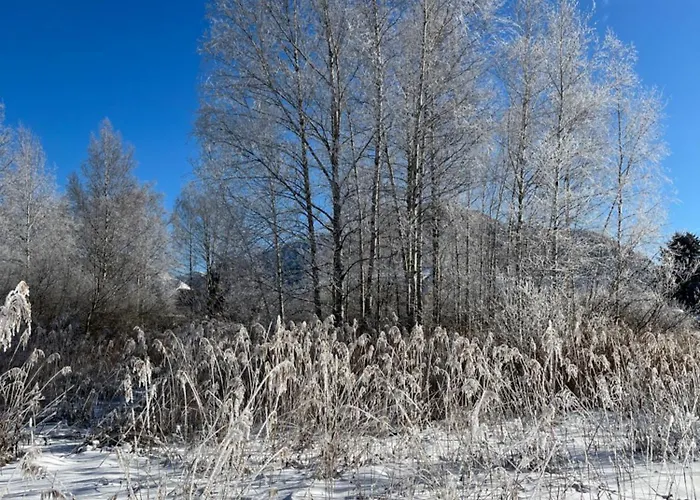 Angerer Appartement Bad Aussee